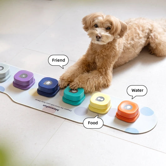 Fun Dog Communicate Recordable Buttons - Type A