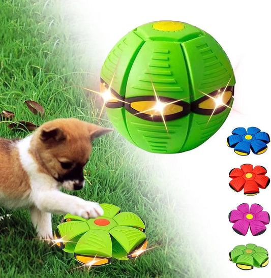 The Pet Magic UFO Ball