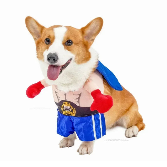 Funny Boxer Dog Costume