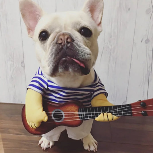Guitarist Player Dog Costume