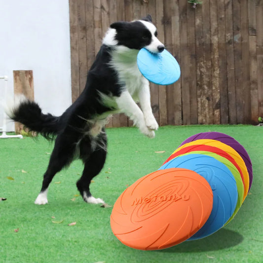 Outdoor Dog Toys - Flying Disc