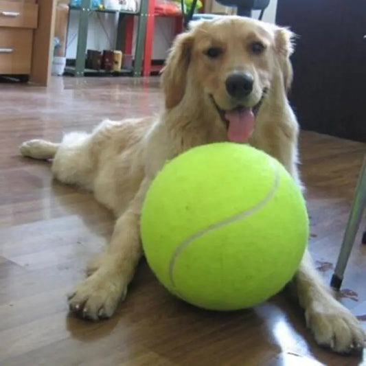 Super Huge Dog Tennis Ball